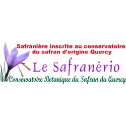 Safran en filaments BIO