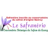 Safran en filaments BIO