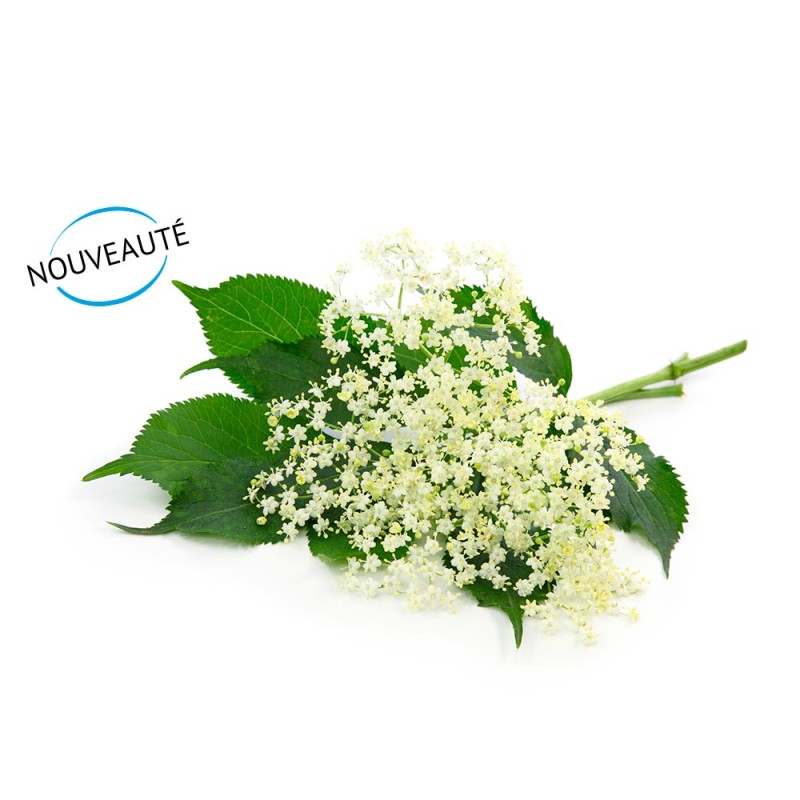 Sirop aux fleurs de sureau