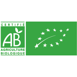 copy of Rabarbersiroop