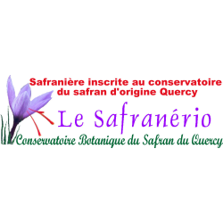 Sel liquide au safran