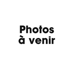 Sirop de menthe BIO