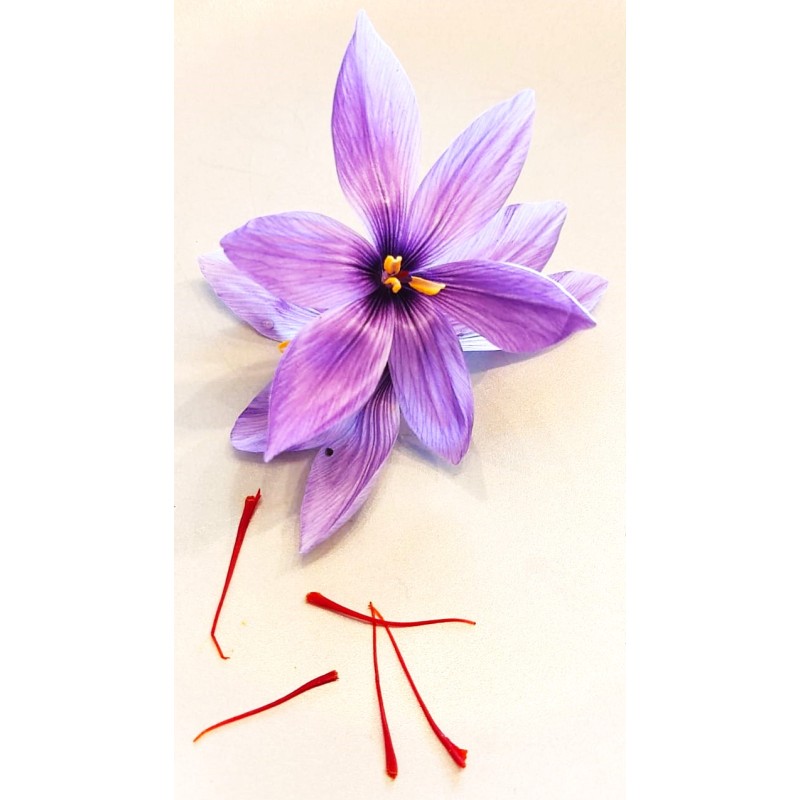 Gedroogde saffraanbloemen BIO